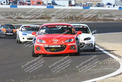 media/Jan-25-2025-CalClub SCCA (Sat) [[03c98a249e]]/Race 4/